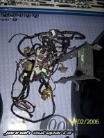 100_9531.jpg 100_9531.jpg