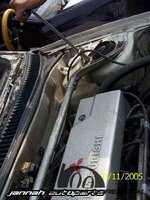 100_8779.JPG 100_8779.JPG