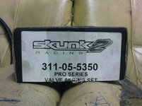 skunk2_2.JPG