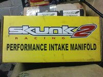 skunk2_3.JPG