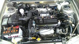IMAG0367.jpg