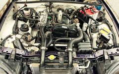 IMG_54489118933031.jpeg