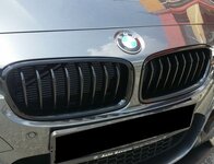 BMW F30 Original BMW accessories grill 1.jpg