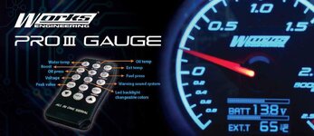 pro iii gauge1.jpg