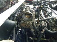 DSCF6966.jpg