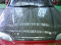 DSC01425.jpg