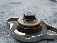 DSCF0875.jpg
