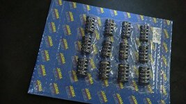 jasma racing valve springs RPW australia spec model 30961    (2).JPG