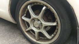 IMAG7464.jpg