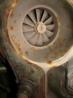 IMG_20171206_222415.jpg