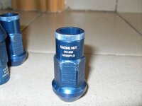 SDC13161.jpg