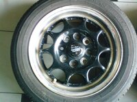 DSC01361.jpg
