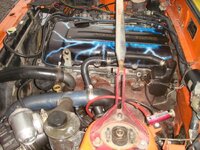DSC05516.jpg