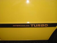 DSC05518.jpg