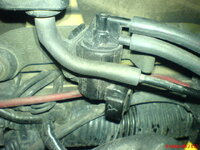 DSC05853.JPG
