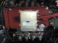 27032009181.jpg