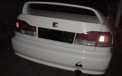 Domani Tail.JPG