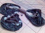 extractor%281%29.jpg
