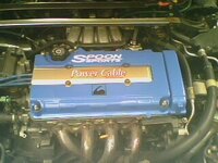 IMG0146A.jpg