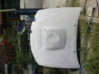 DSC00228.jpg