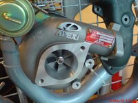 DSC02016.jpg