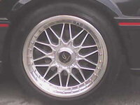 DSC00487.JPG