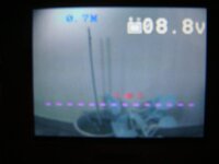 DSC03702.jpg