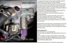 iacv.jpg
