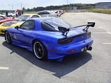 th_DSC08973.jpg