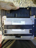 DSC00459.jpg