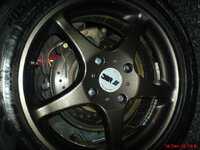 DSC00481.JPG