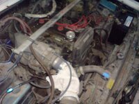 DSC00554.jpg