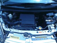 DSC00311.jpg