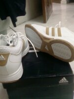 PIC_00703.jpg