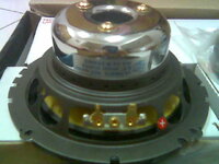 Dls 6.5.jpg