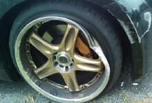 IMAG02481.JPG