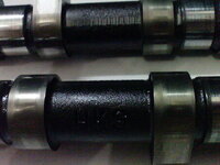 DSC00175.JPG