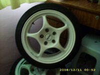IMG_0101.jpg