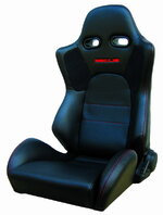 STAR PU.jpg