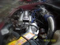 100_32971.jpg