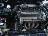 IMG00336-20091218-1606.jpg