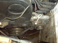 DSC02165.jpg