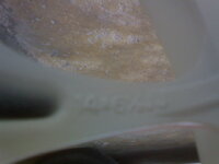 DSC03395.JPG