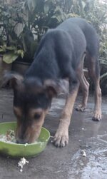IMAG0033.jpg