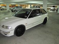 IMG_0512.jpg