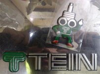 tein emblem 2.jpg