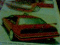 Picture 4.jpg
