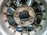 IMG_2979.JPG