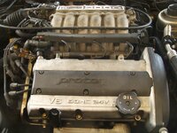 DSCN2967.JPG