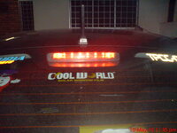 DSC00549.jpg